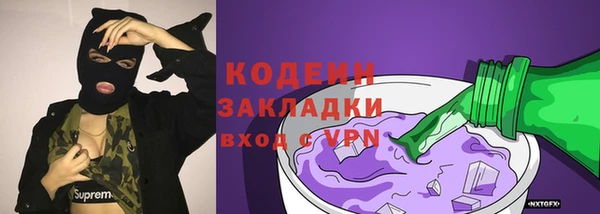 стаф Карпинск