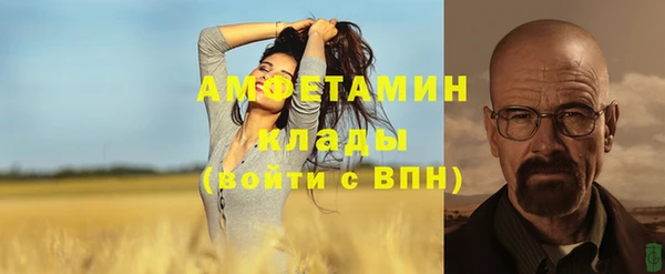 стаф Карпинск