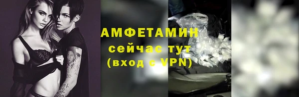 стаф Карпинск
