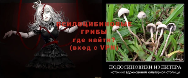 СК Карталы