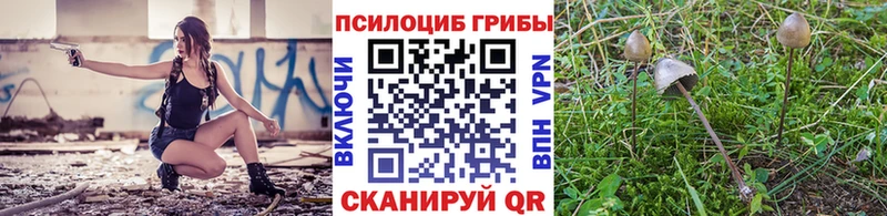 Купить где  Горячеводский  Галлюциногенные грибы мицелий 